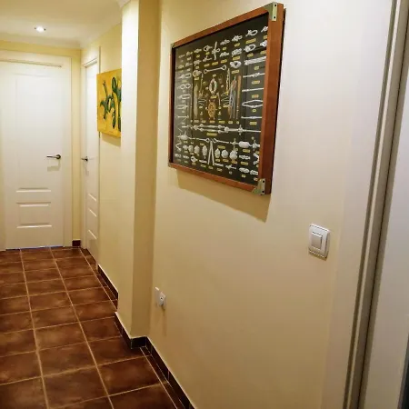 Center Paseo Apartment: Renovated With Double Garage Apartment Almunecar
